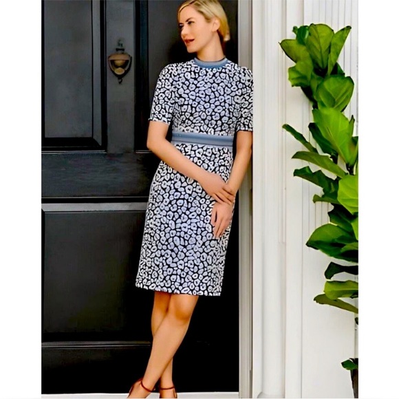 J. McLaughlin Dresses & Skirts - JMcLaughlin Kyrie dress in Geo Cheetah 
Size 6